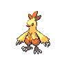 Shiny Combusken